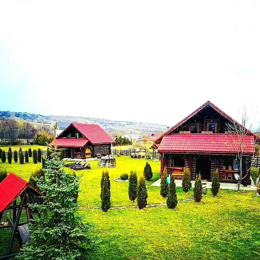 La Casute Bran Villa Bran  Exterior foto