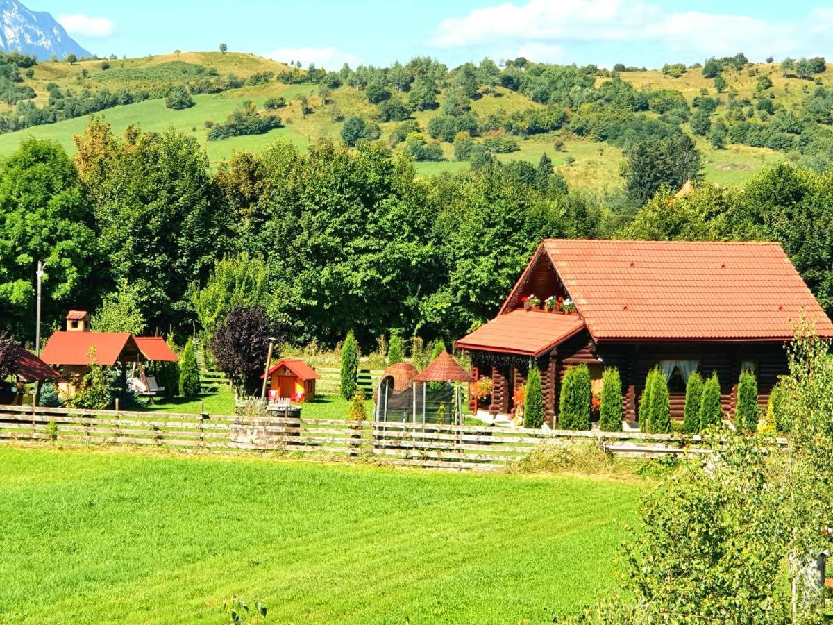 La Casute Bran Villa Bran  Exterior foto